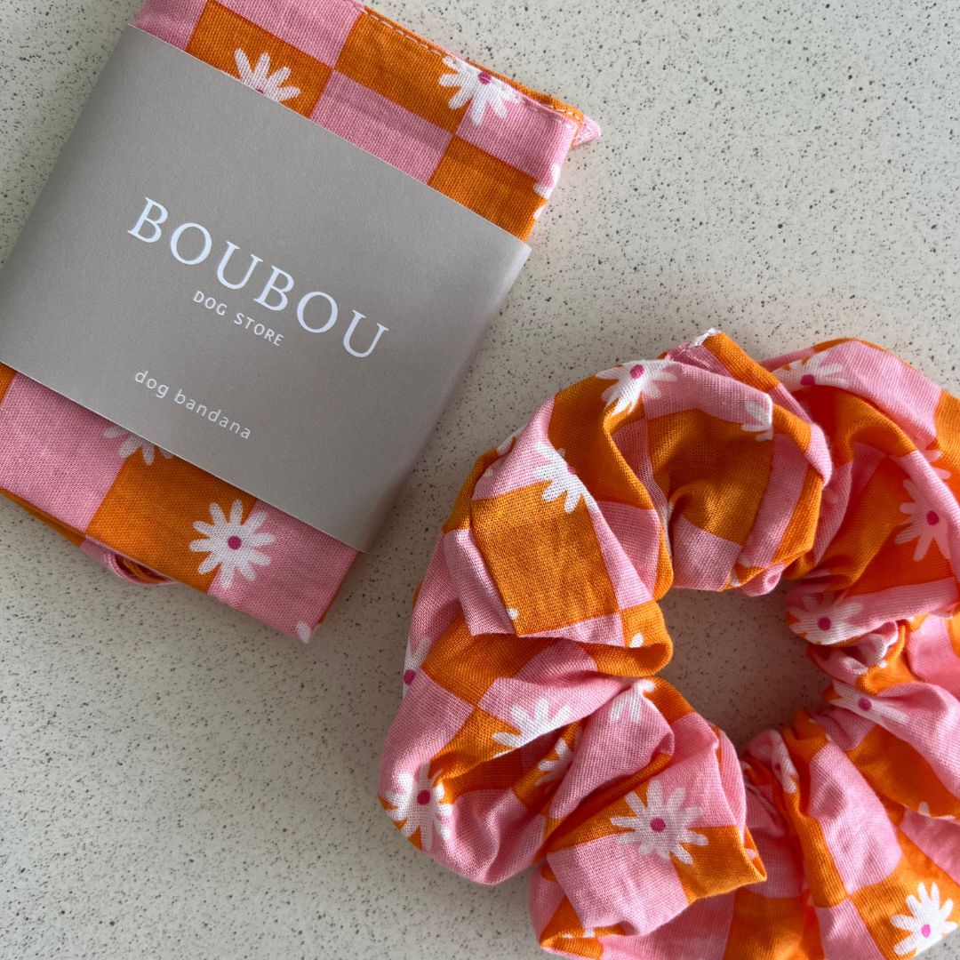 Bandana Vichy - Orange & Rose