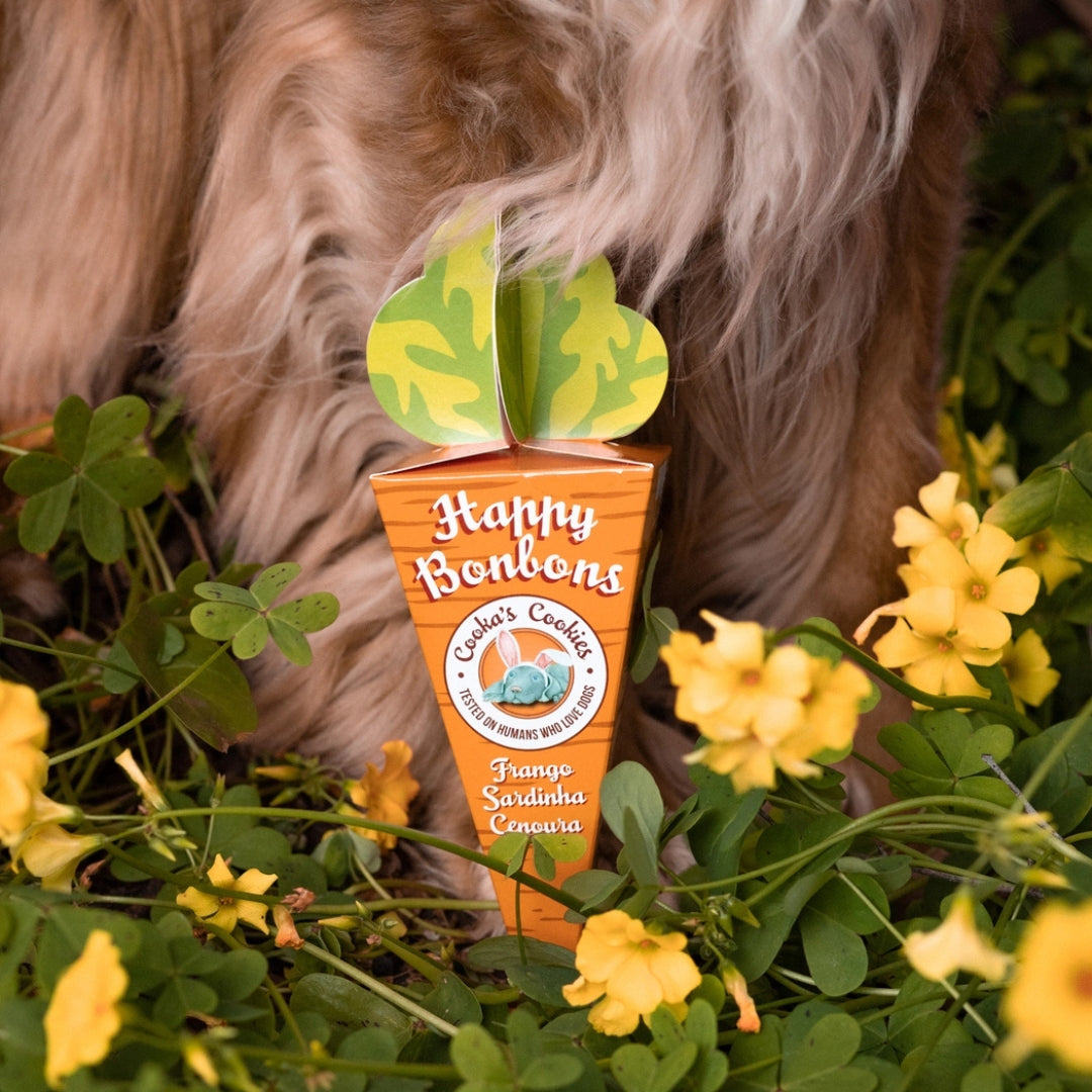 Friandises naturelles de Pâques