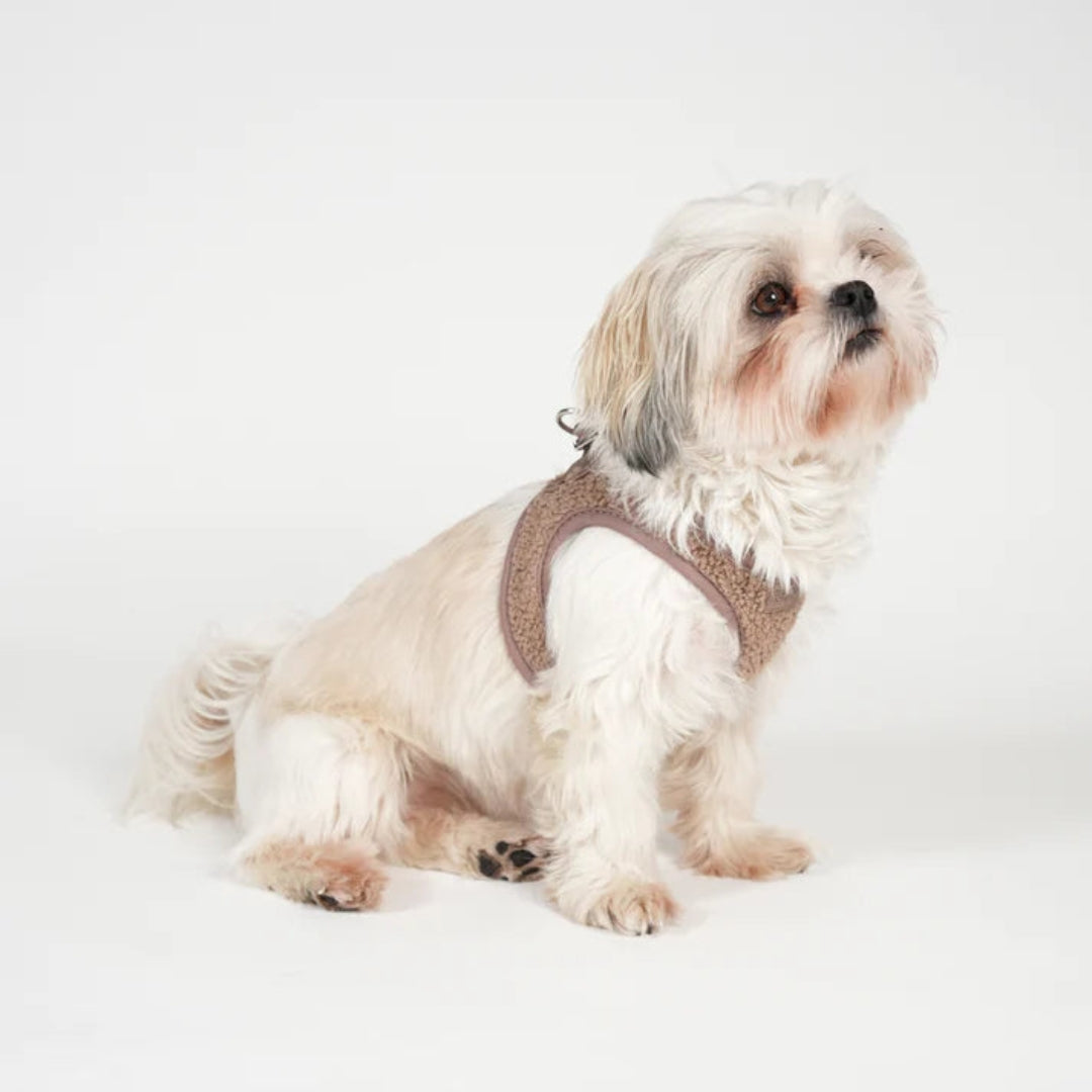 Harnais Step-In Teddy - Mocca