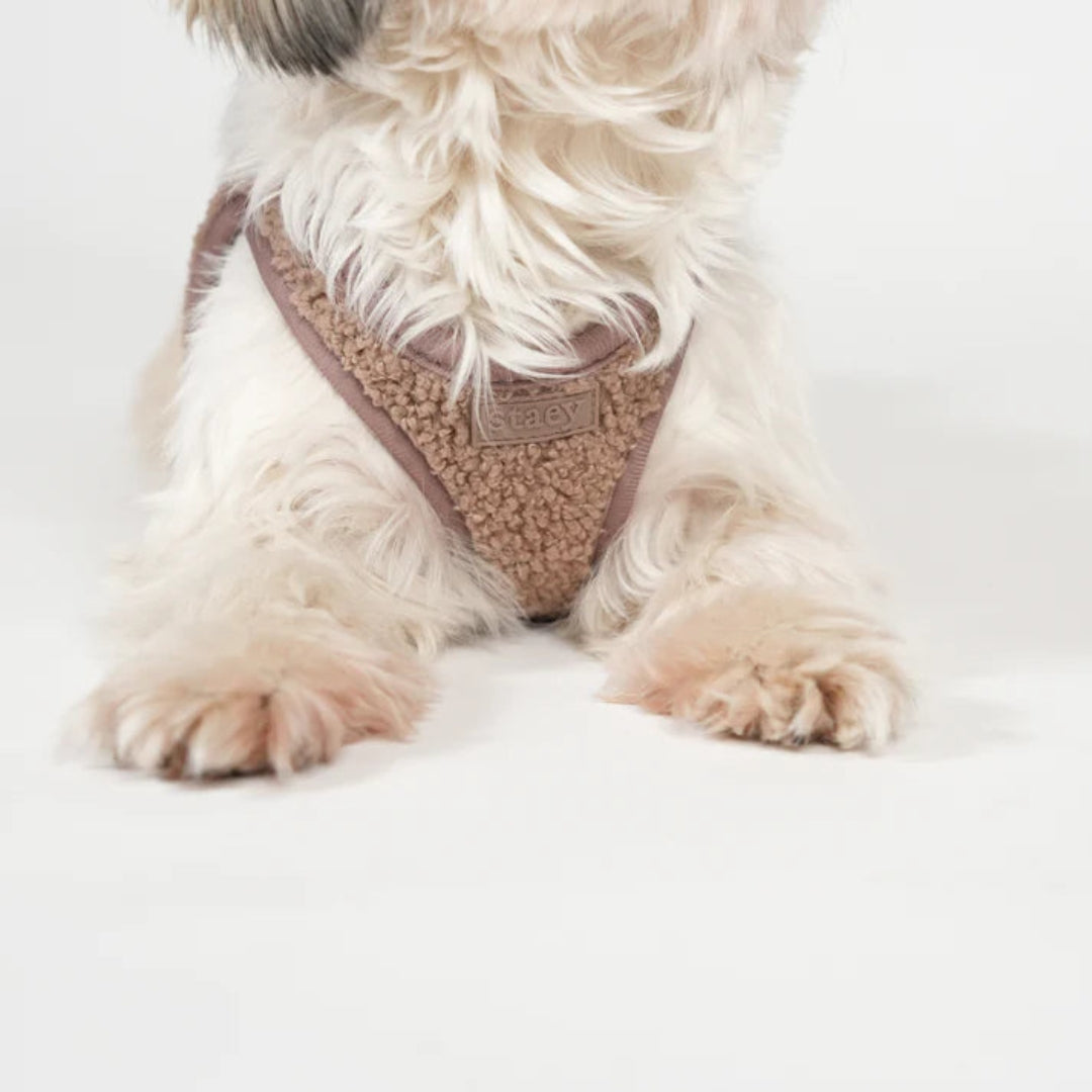 Harnais Step-In Teddy - Mocca