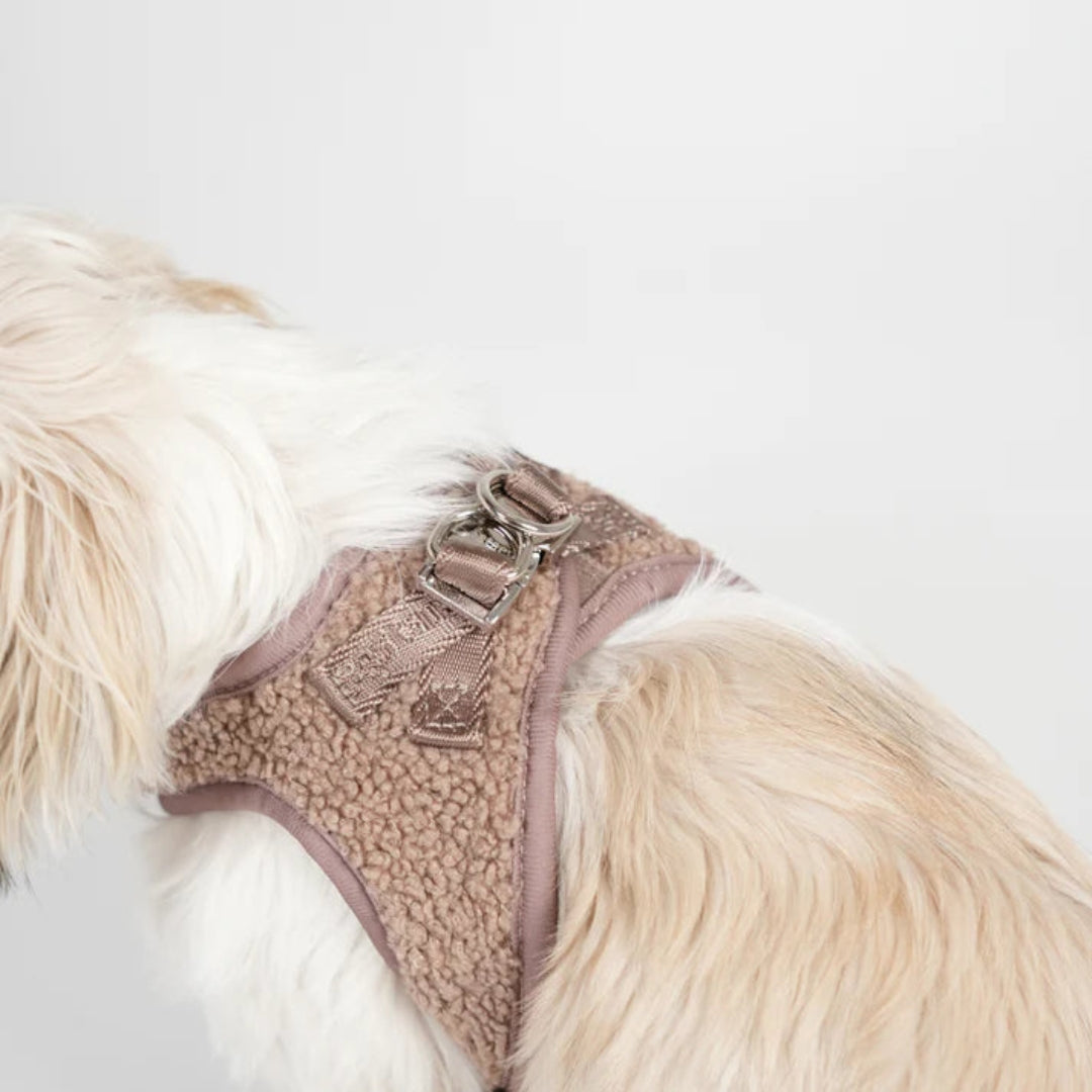 Harnais Step-In Teddy - Mocca
