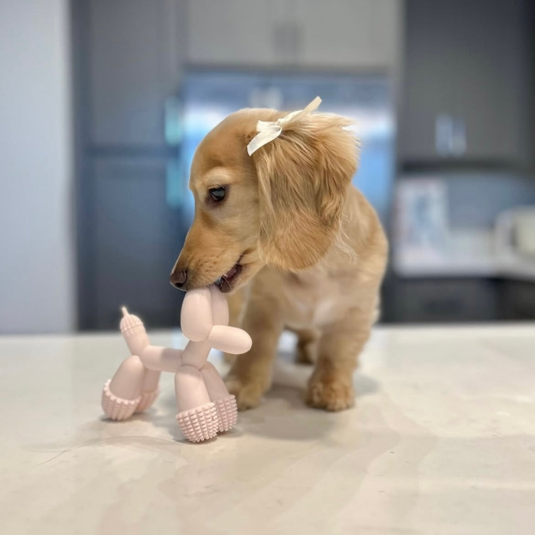 Jouet Chien Ballon - Rose