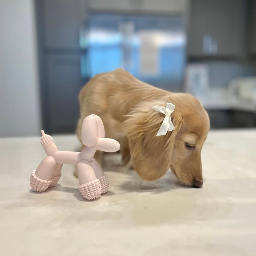 Jouet Chien Ballon - Rose