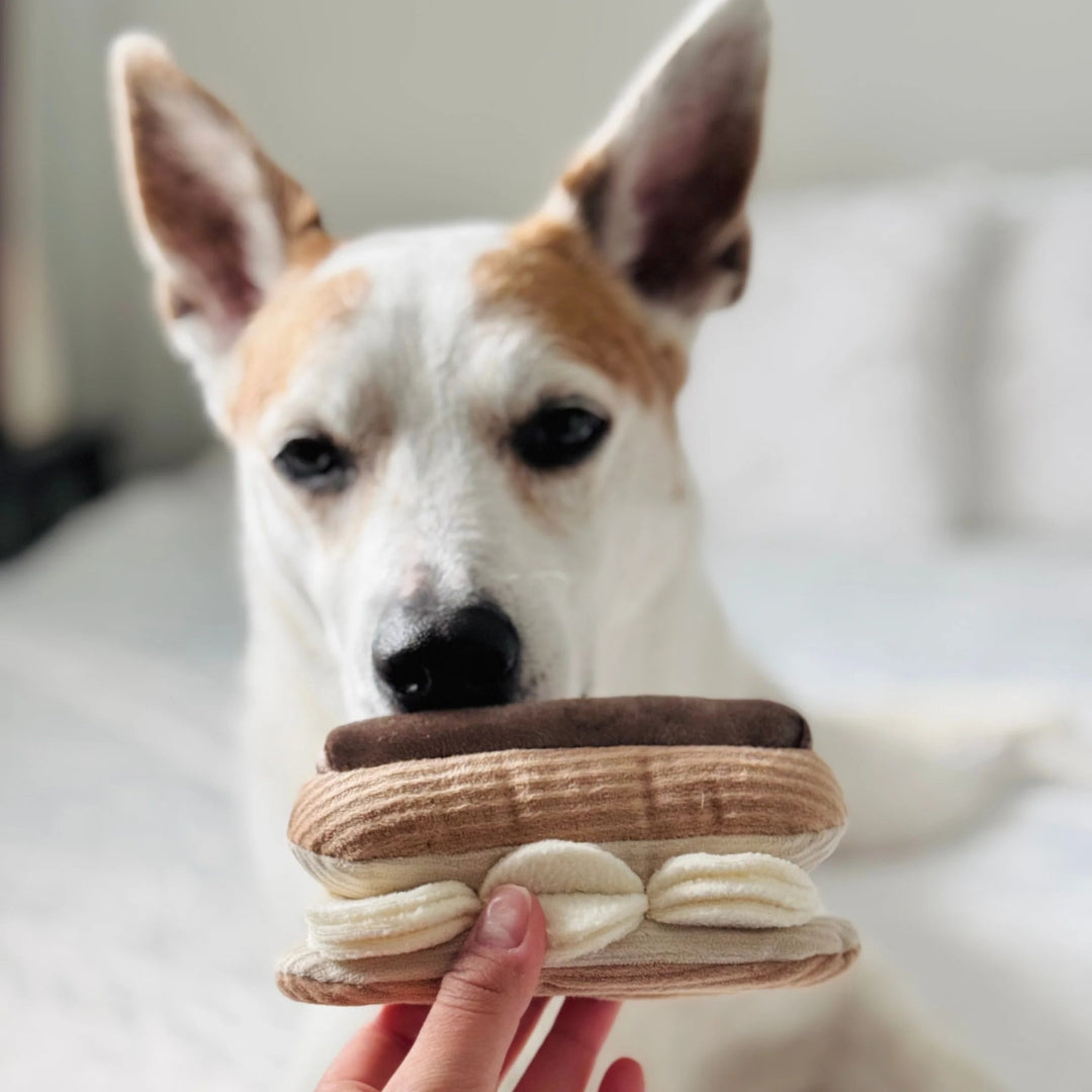 Jouet de fouille - Éclair