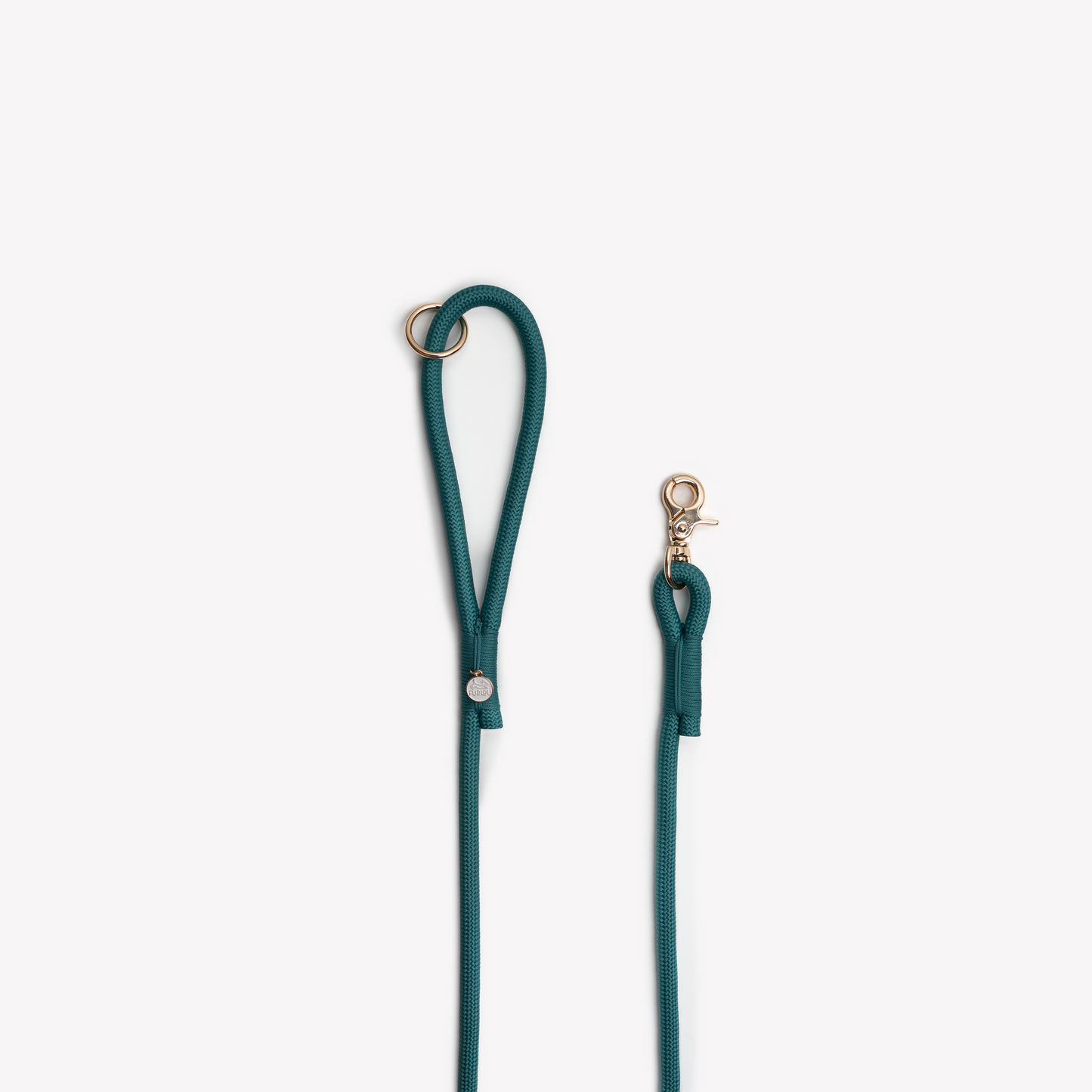 Laisse en nylon - Blue