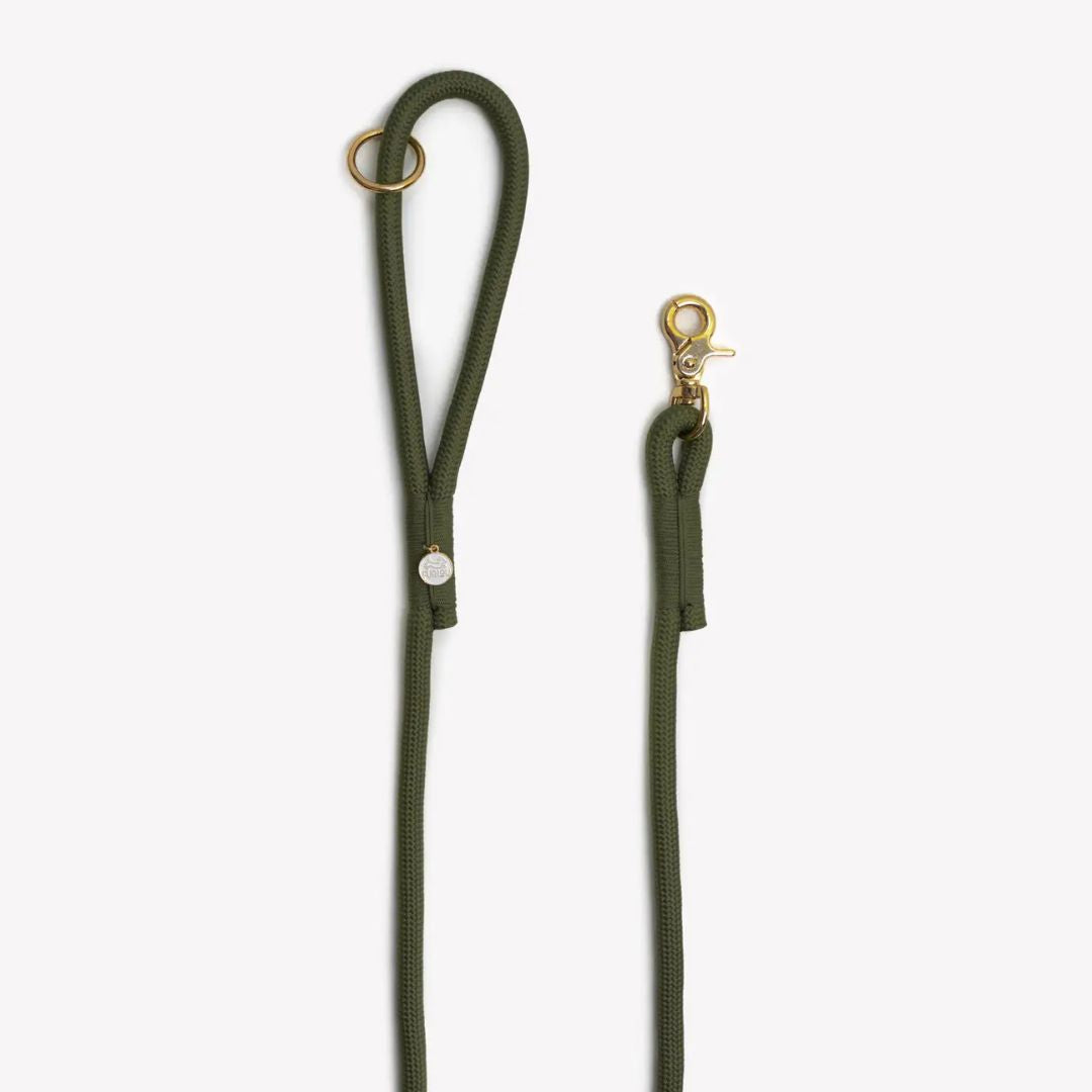 Laisse en nylon - Kaki