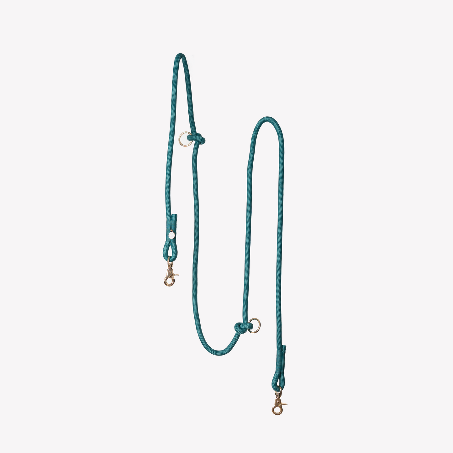 Laisse mains libres en nylon - Blue