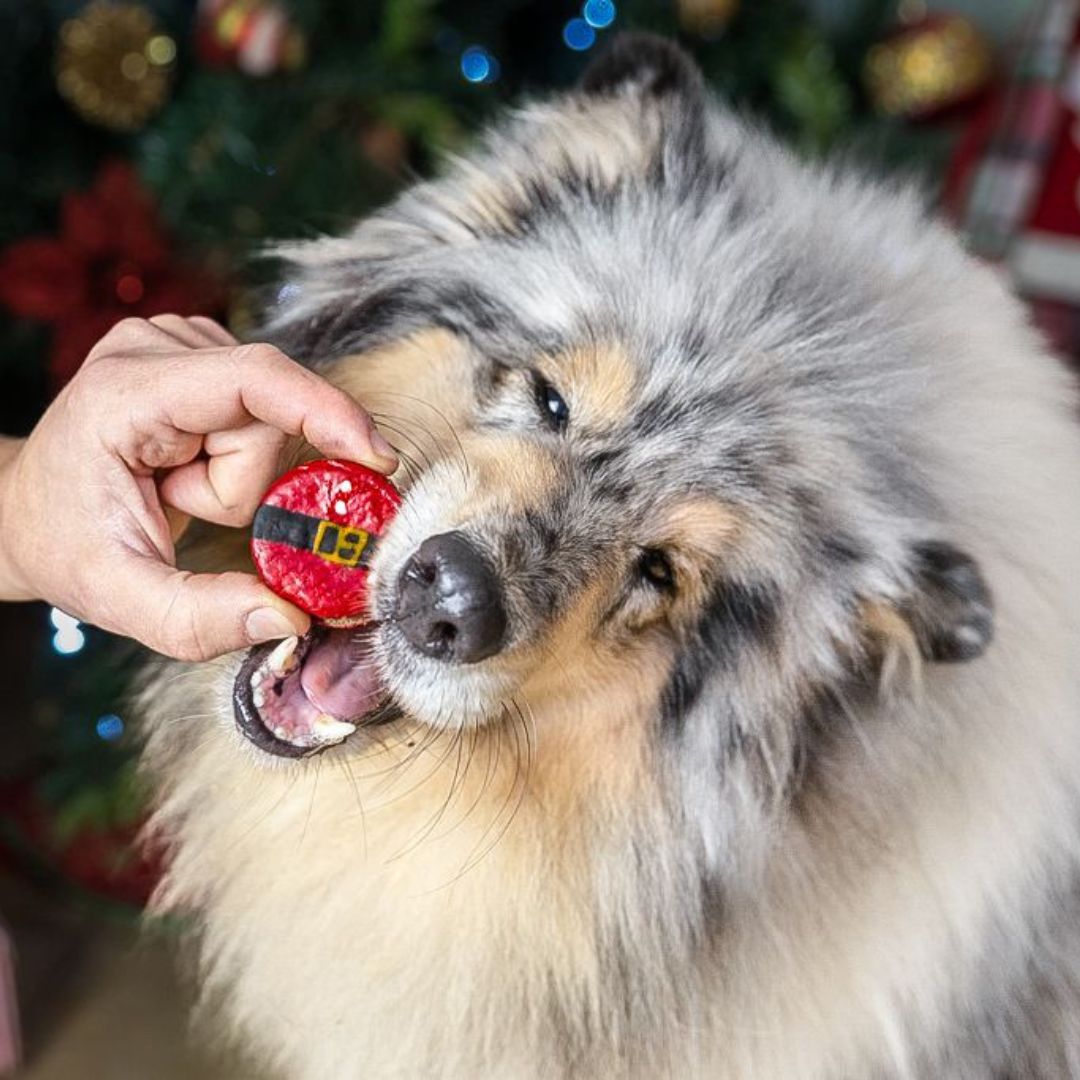 Macarons Père Noël