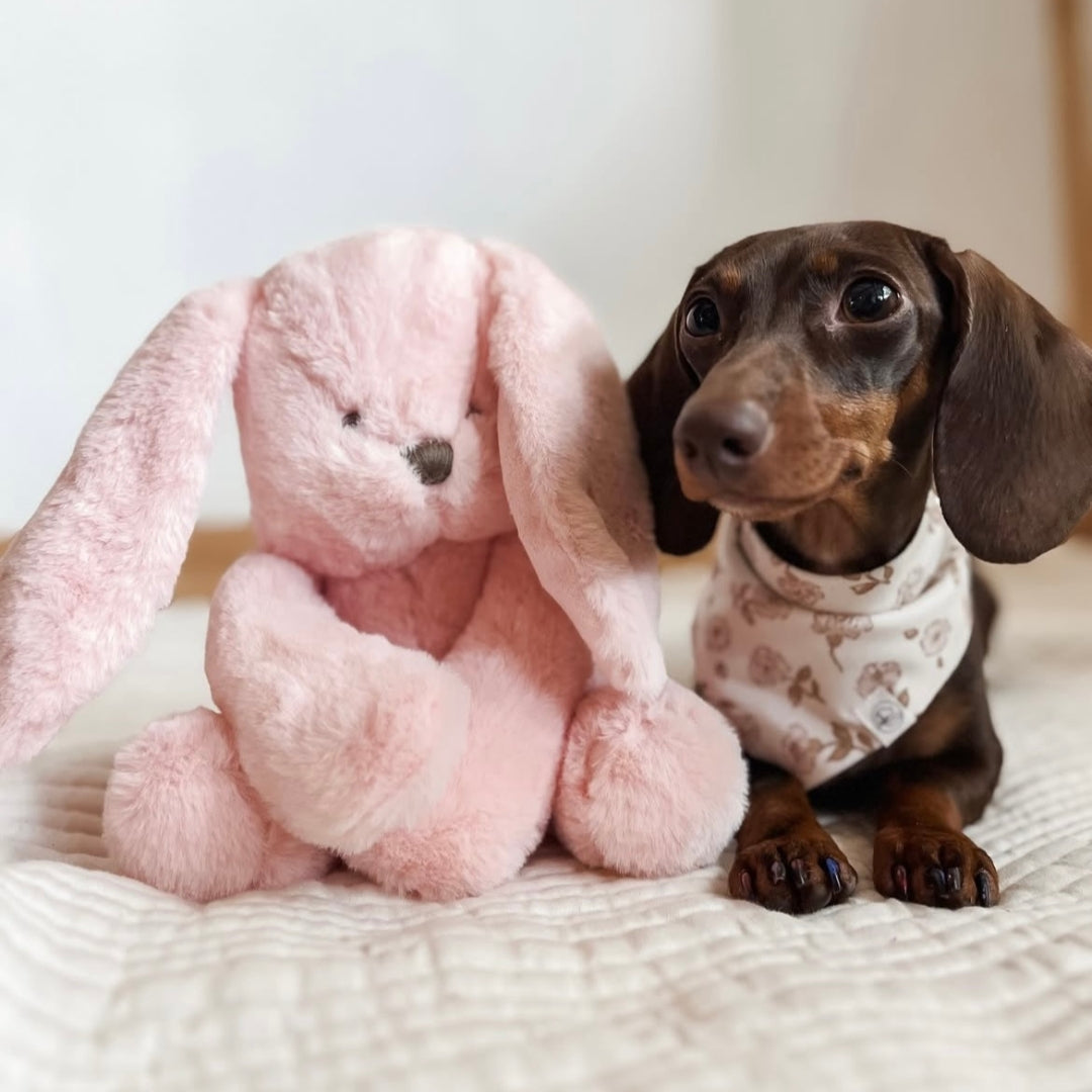 Peluche Lapin Ruby