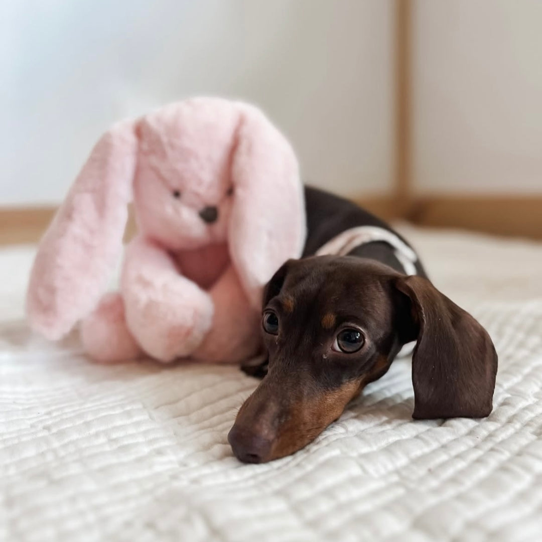 Peluche Lapin Ruby