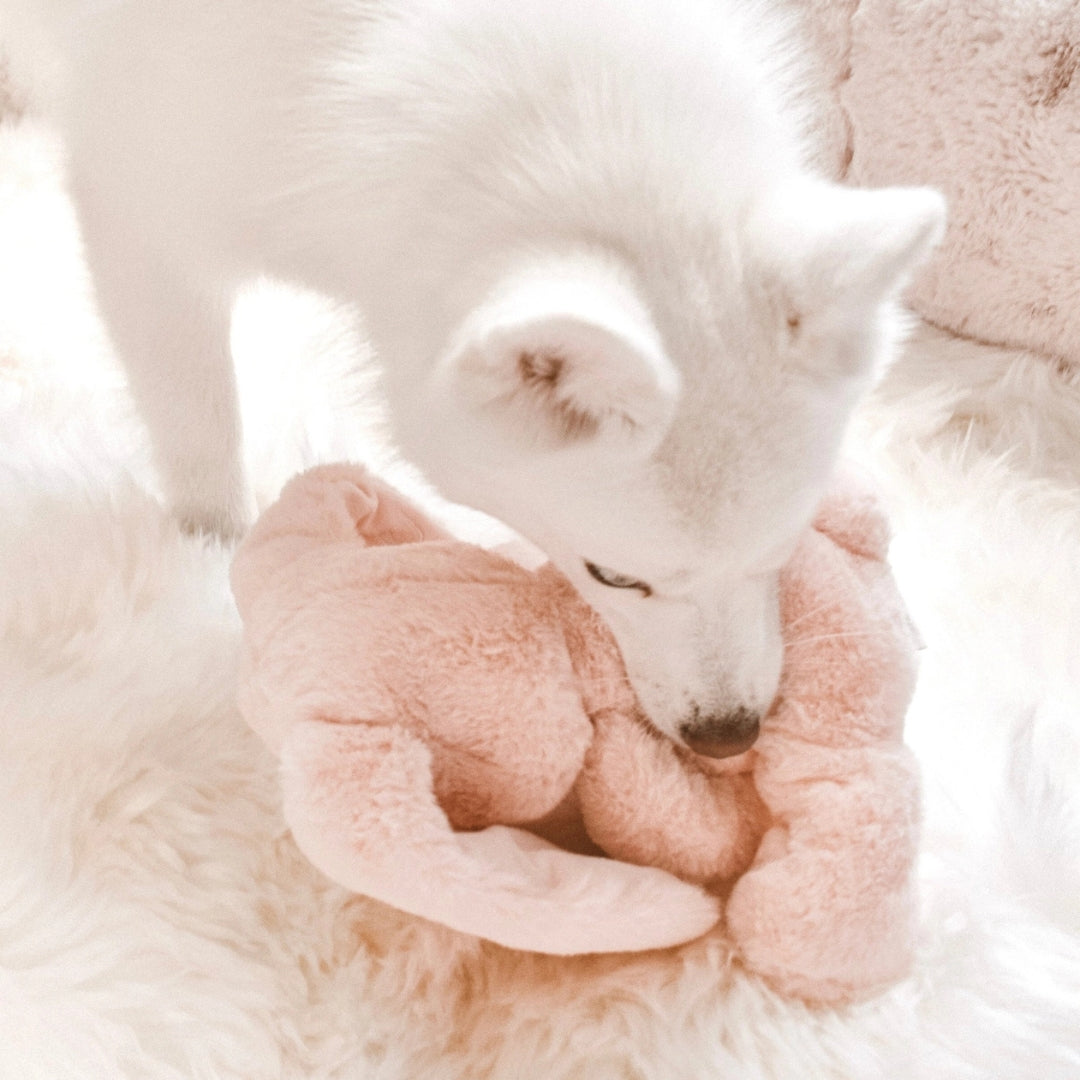Peluche Lapin Ruby