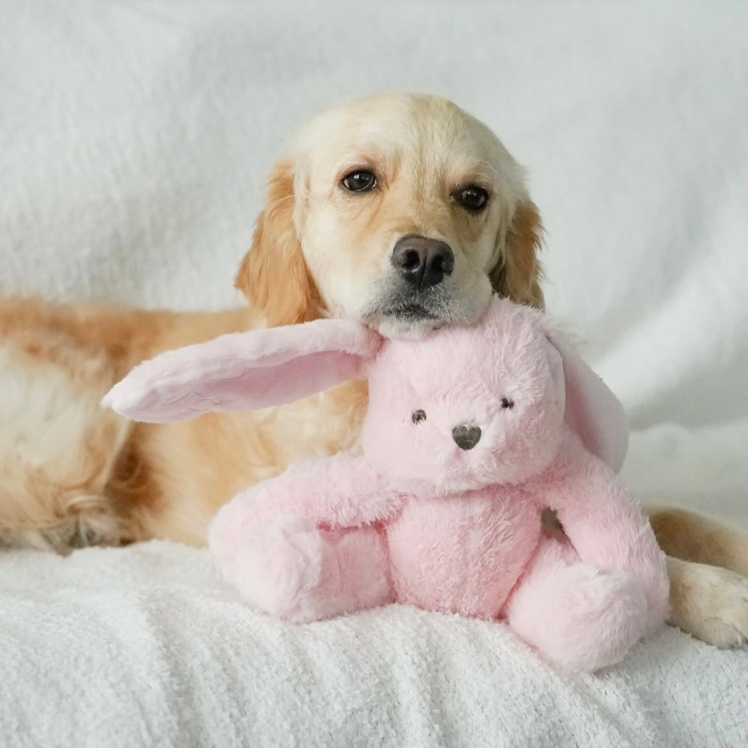 Peluche Lapin Ruby