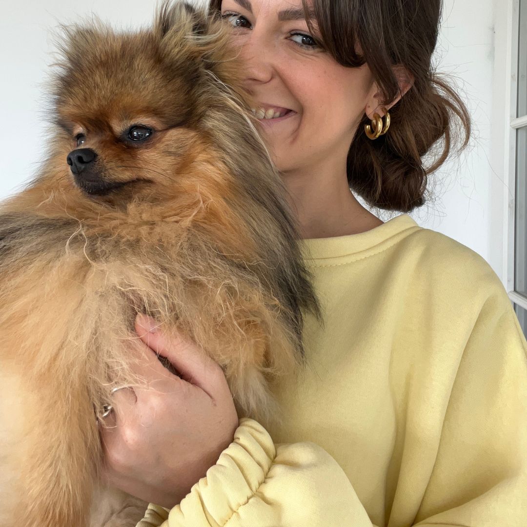 Pull DOGMOM - Jaune
