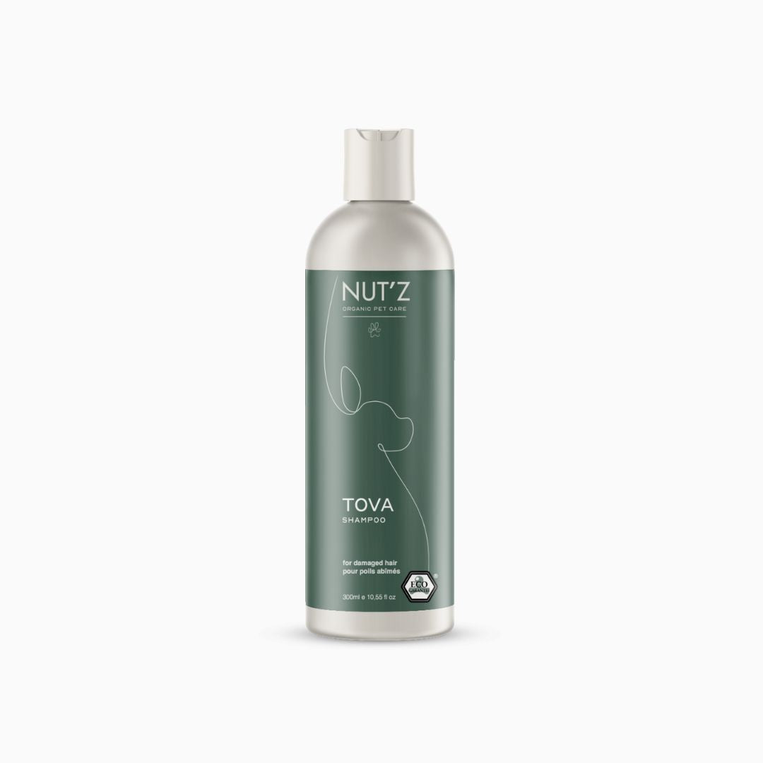 Shampoing - Tova