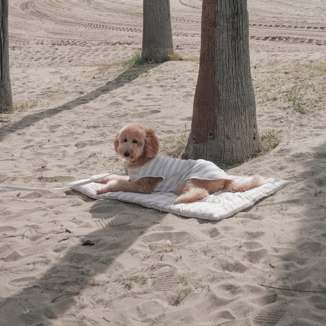 Tapis rafraîchissant - Summer Breeze
