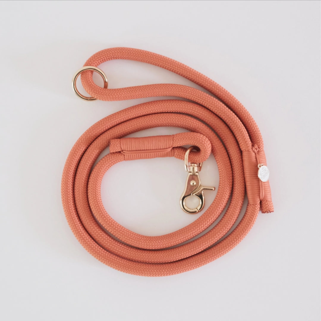 Laisse en nylon - Terracotta