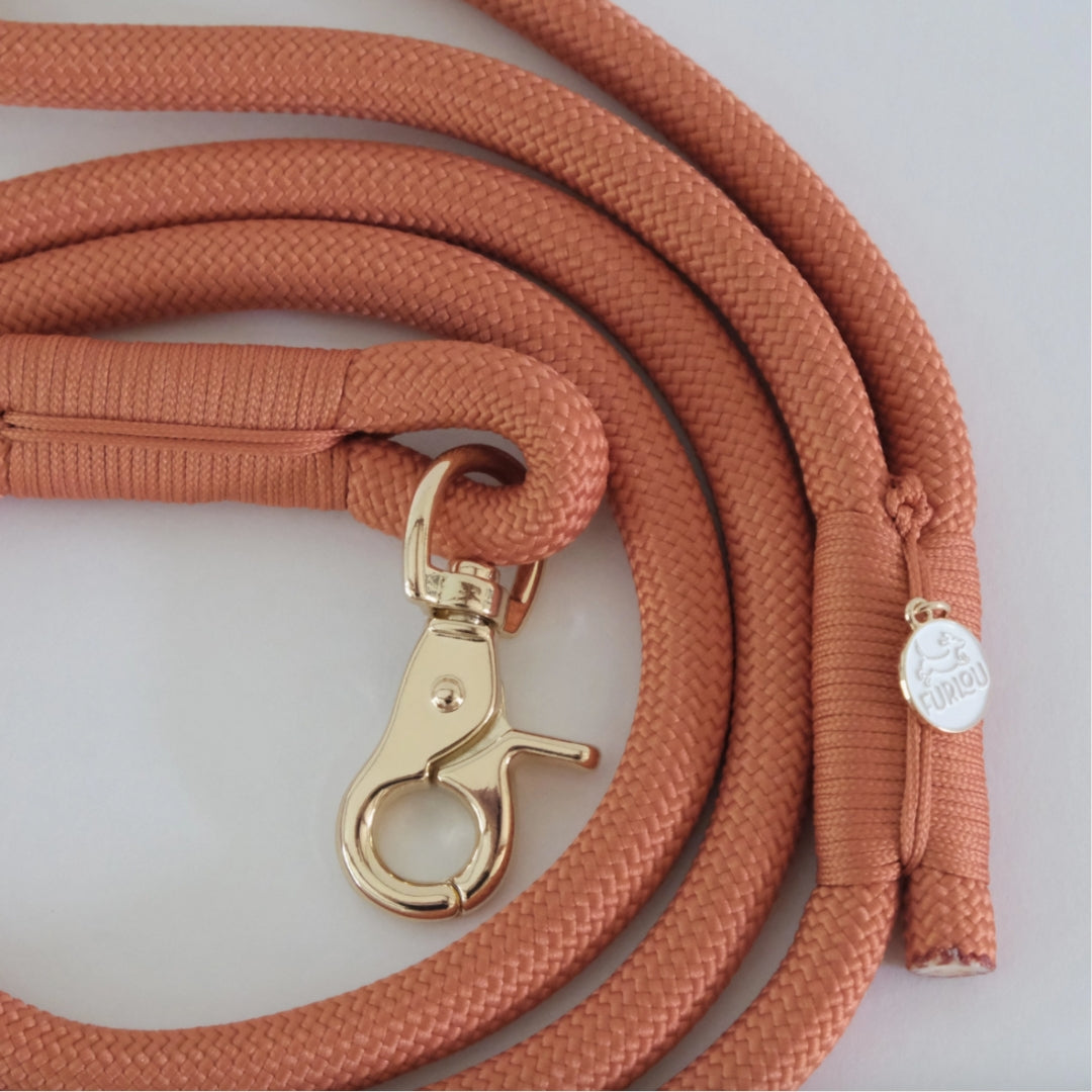 Laisse en nylon - Terracotta