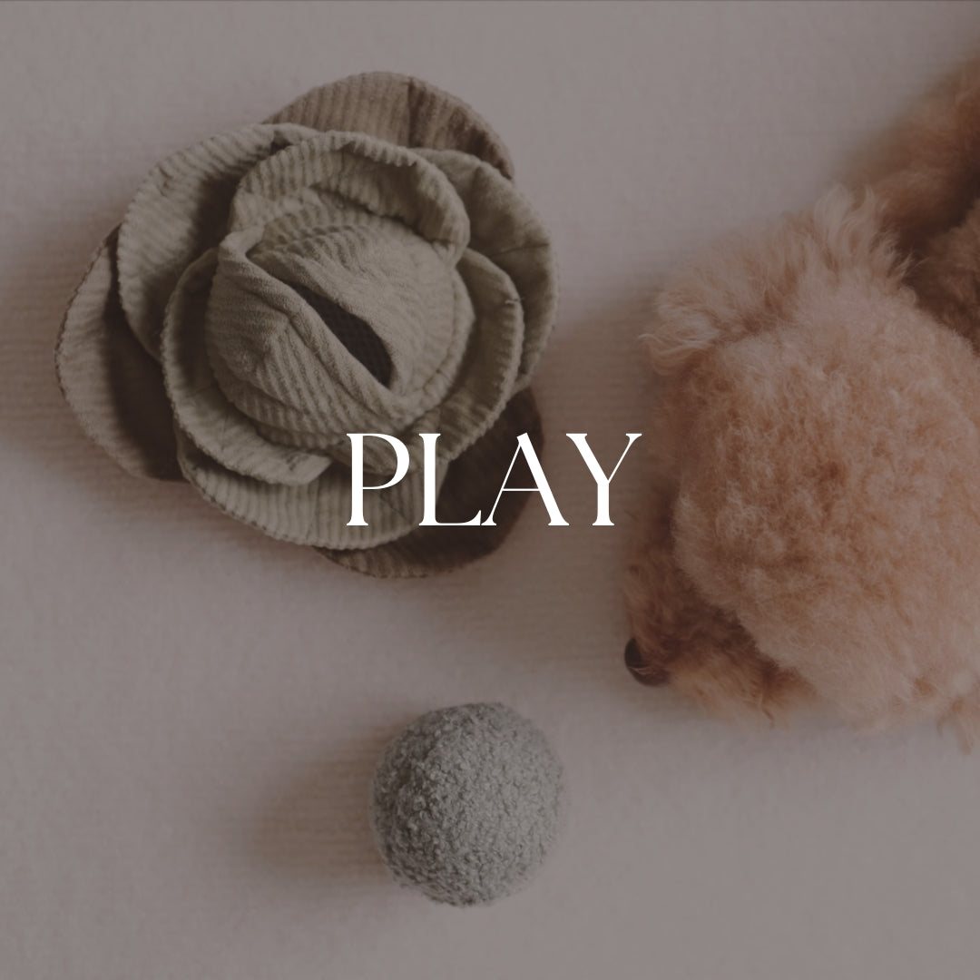 Play