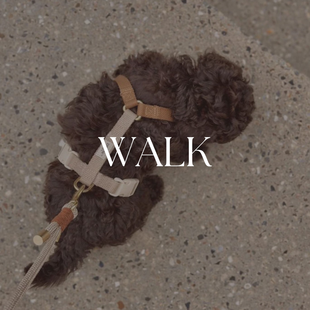 Walk