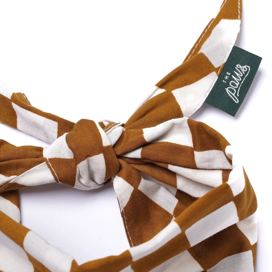 Bandana Damier - Cacao