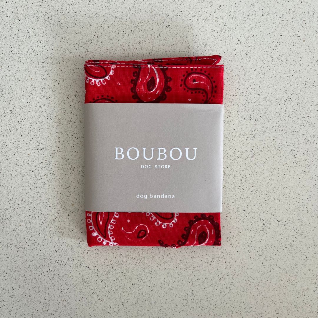 Bandana Motif Cachemire - Rouge