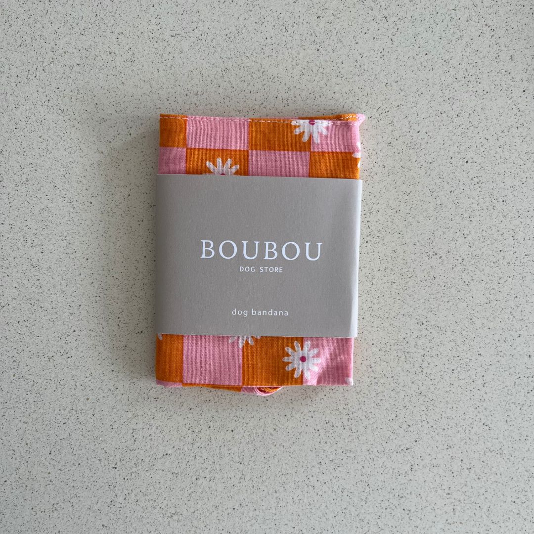 Bandana Vichy - Orange & Rose