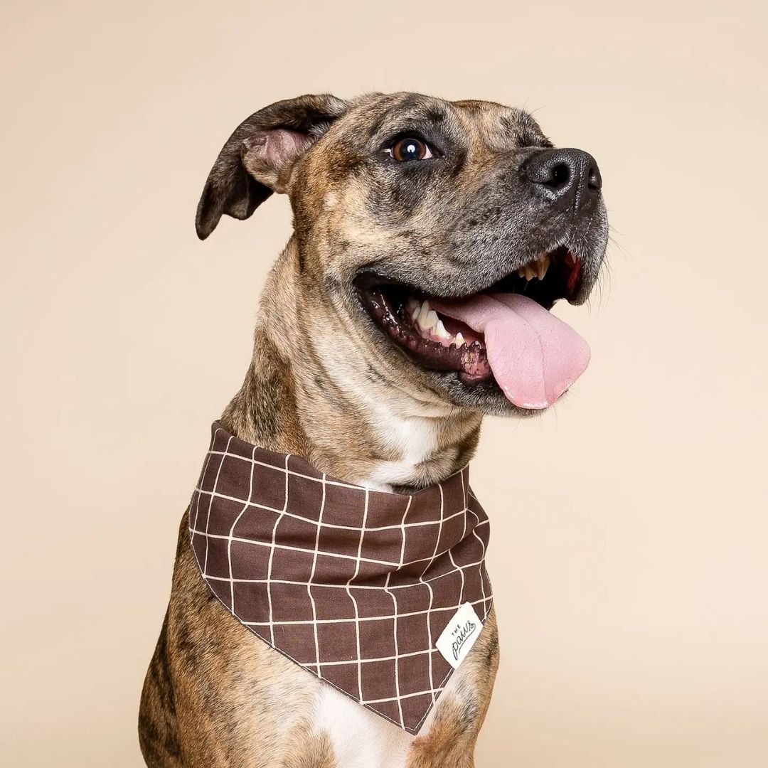 Bandana à Carreaux - Marron