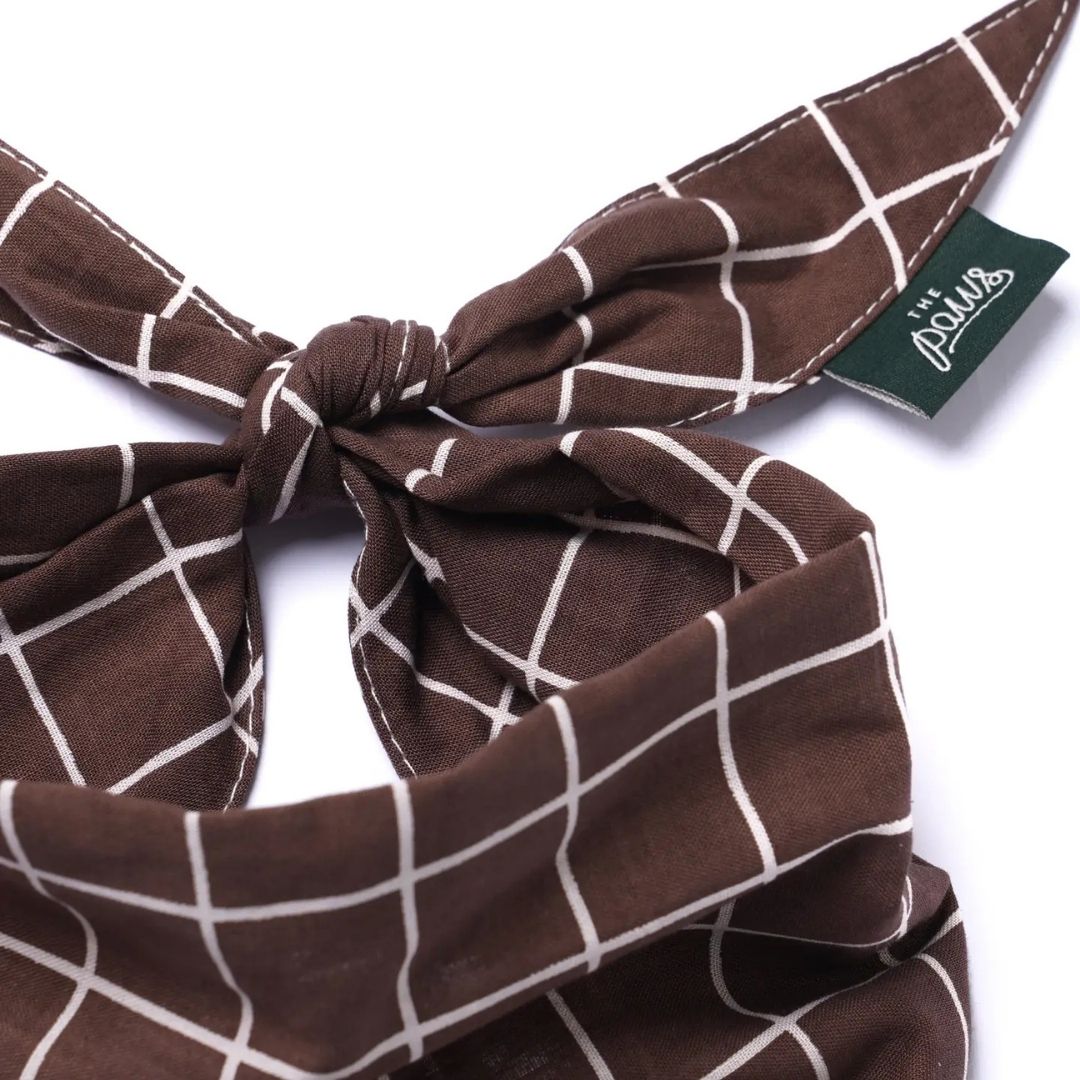 Bandana à Carreaux - Marron