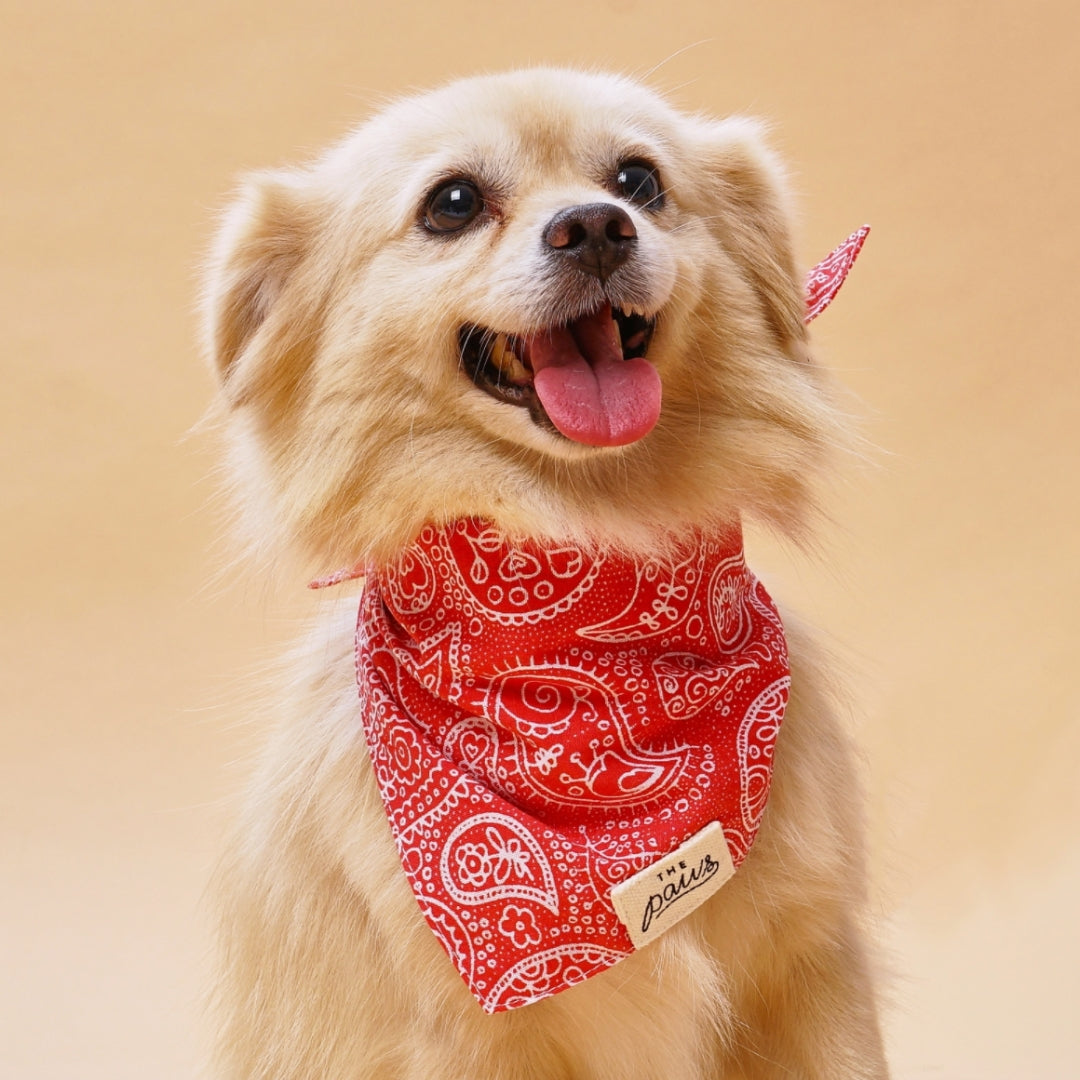 Bandana Motif Cachemire - Rouge