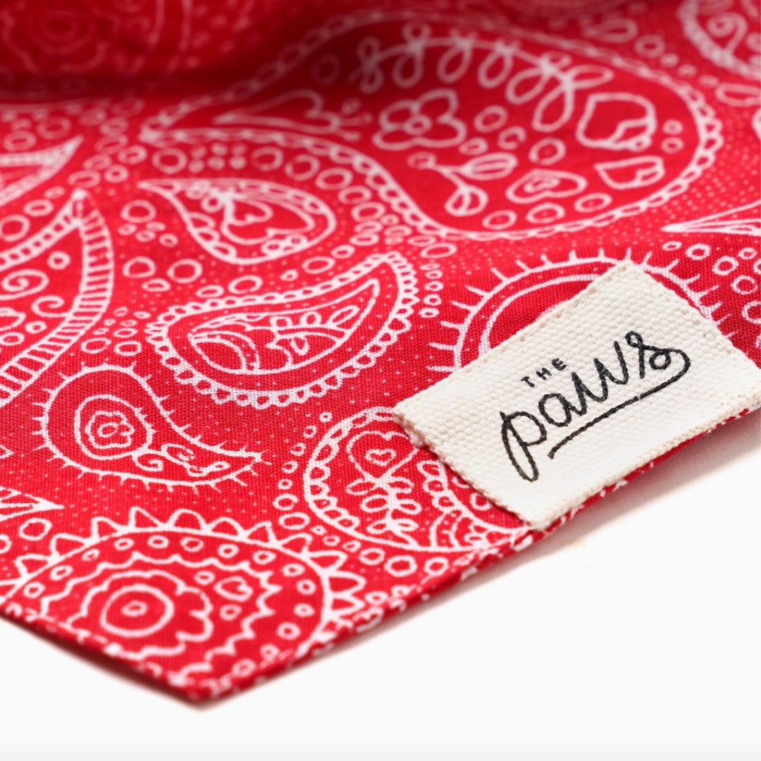 Bandana Motif Cachemire - Rouge