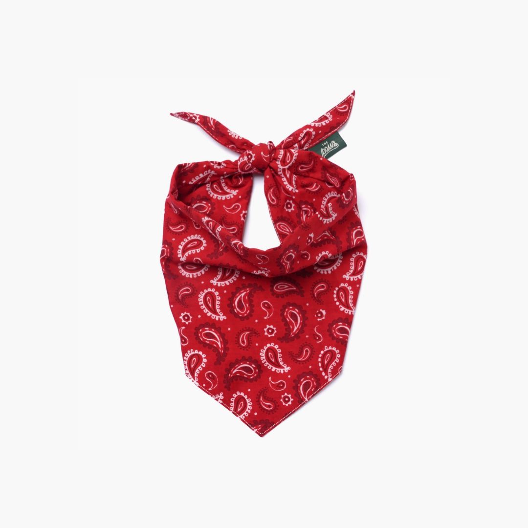 Bandana Motif Cachemire - Rouge