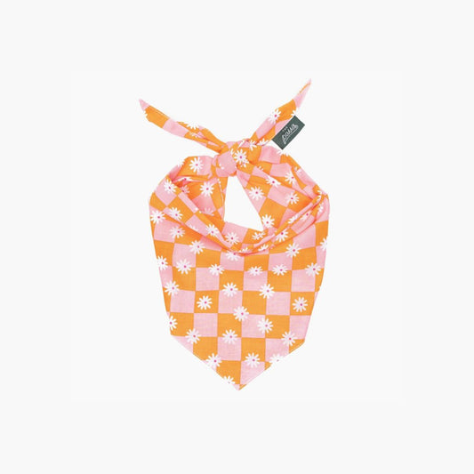 Bandana Vichy - Orange & Rose
