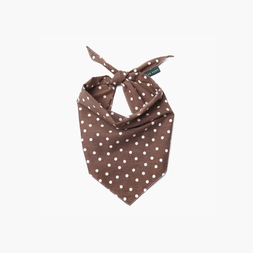Bandana à pois - Chocolat