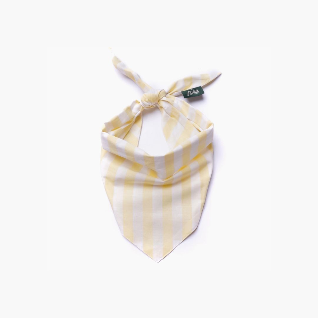Bandana à rayures - Jaune Beurre