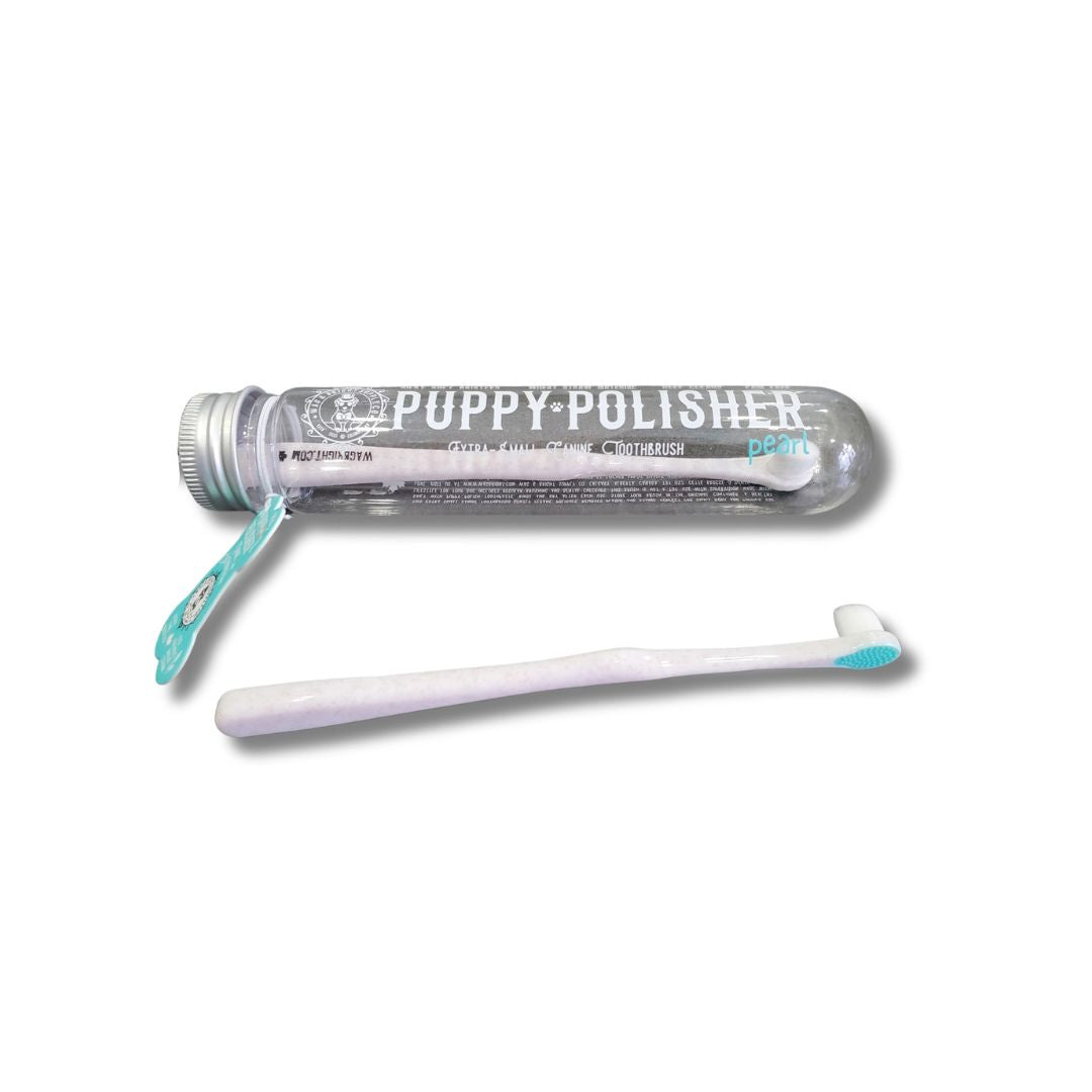 Brosse à dents biodégradable