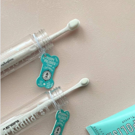 Brosse à dents biodégradable