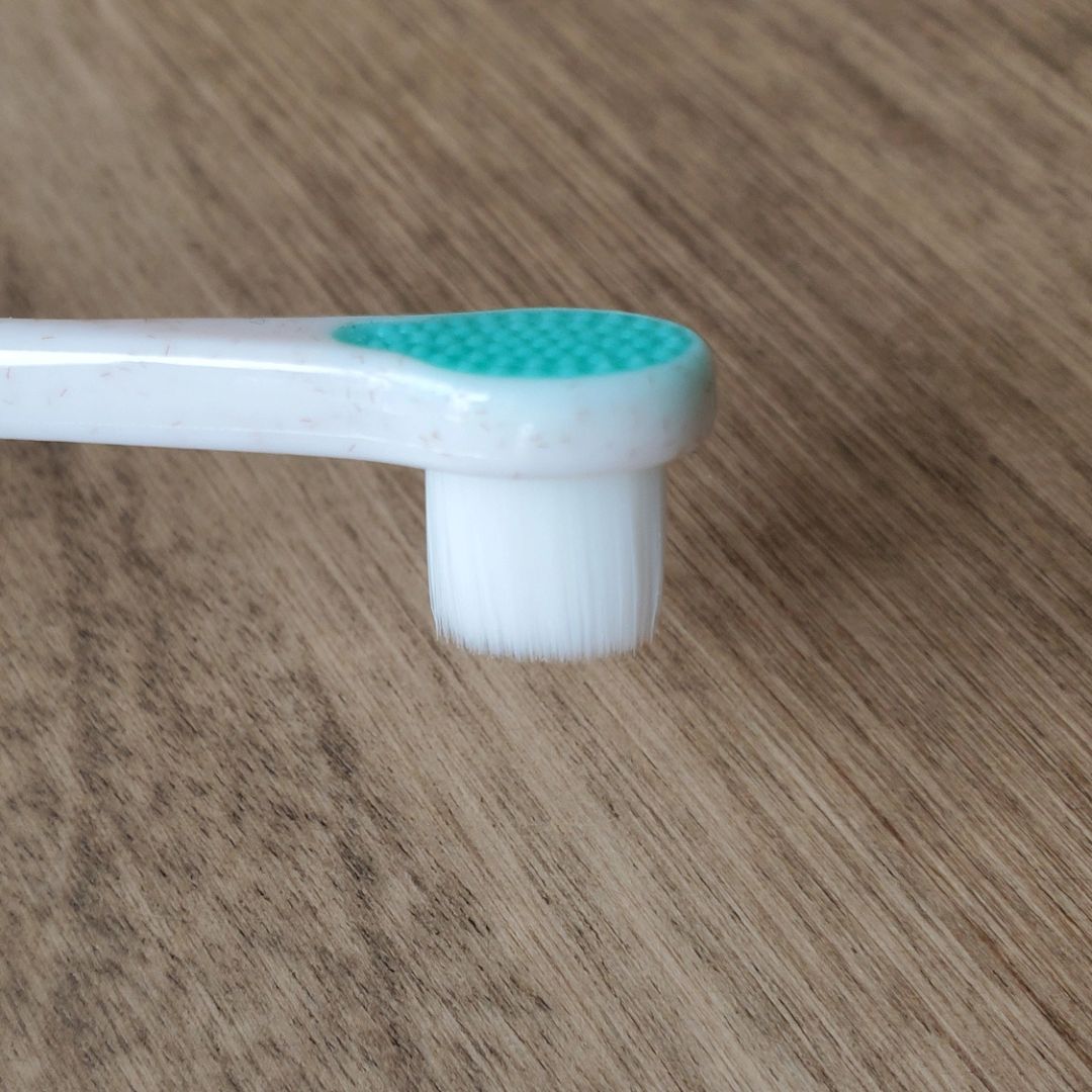 Brosse à dents biodégradable