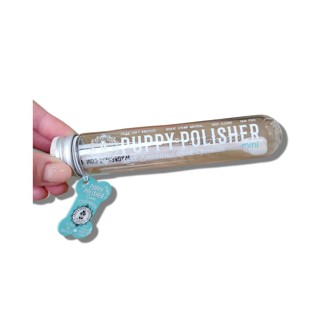 Brosse à dents biodégradable