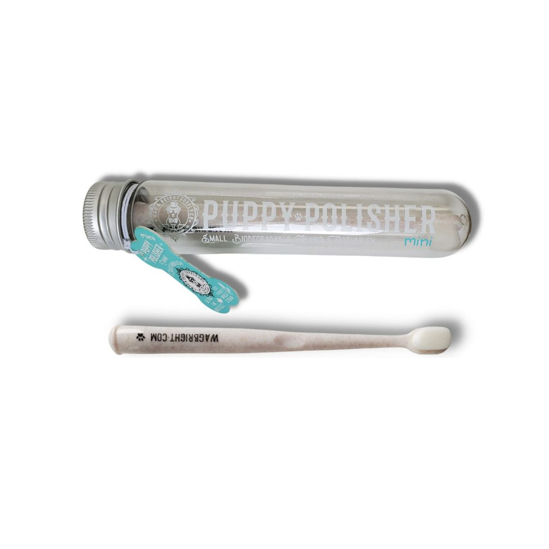 Brosse à dents biodégradable