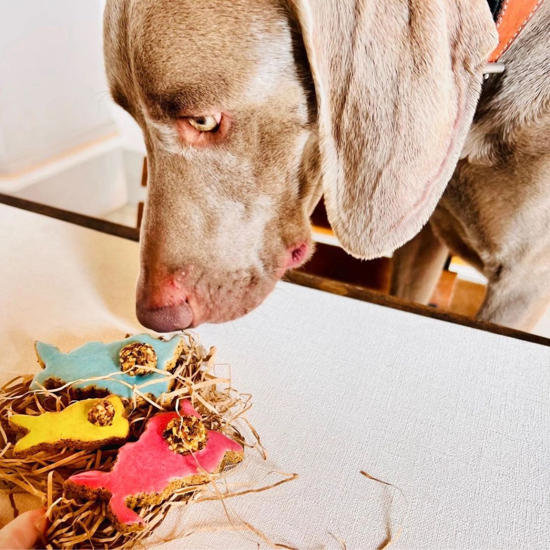 Coffret Friandises de Pâques