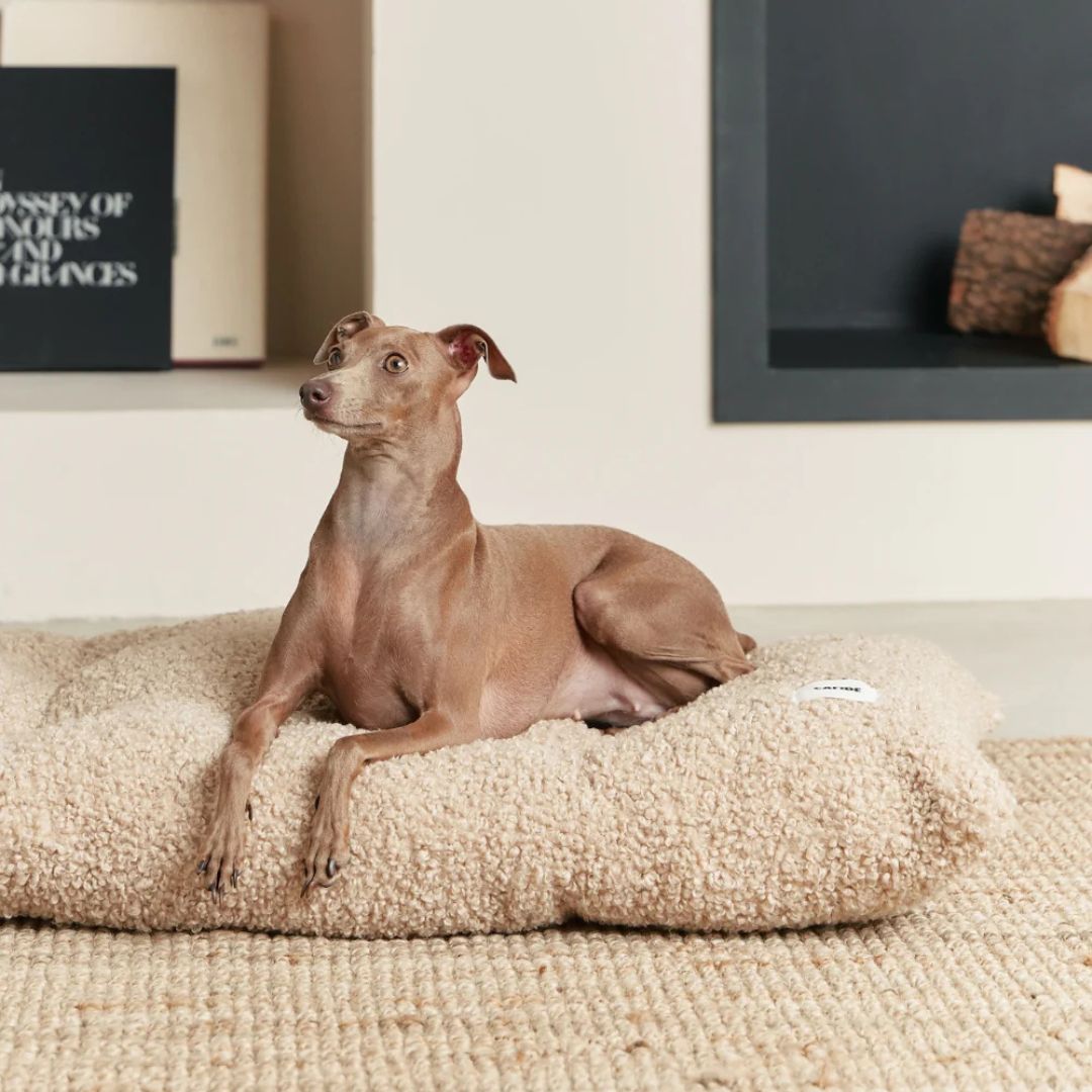 Coussin de lit en bouclette beige - Bela (PRÉCOMMANDE)