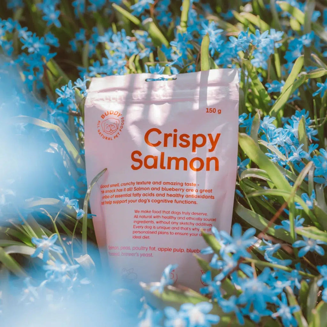 Friandises Crunchy - Saumon