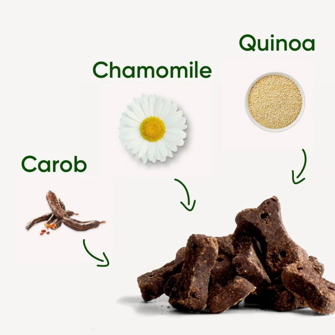 Friandises Dog Choc - Caroube, Camomille & Quinoa