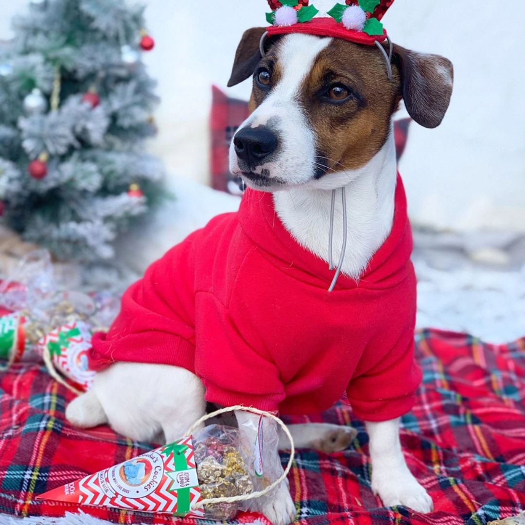 Friandises naturelles Boules de Noël