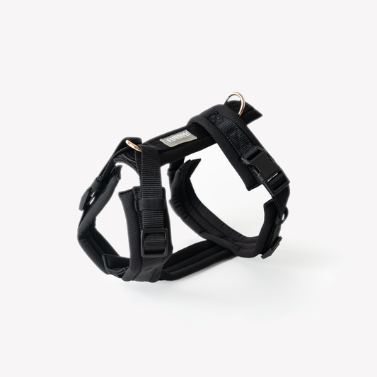 Harnais Comfort - Black