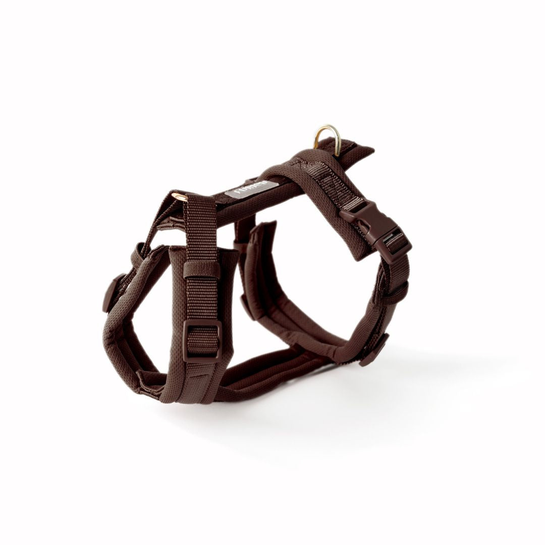 Harnais Comfort - Brown