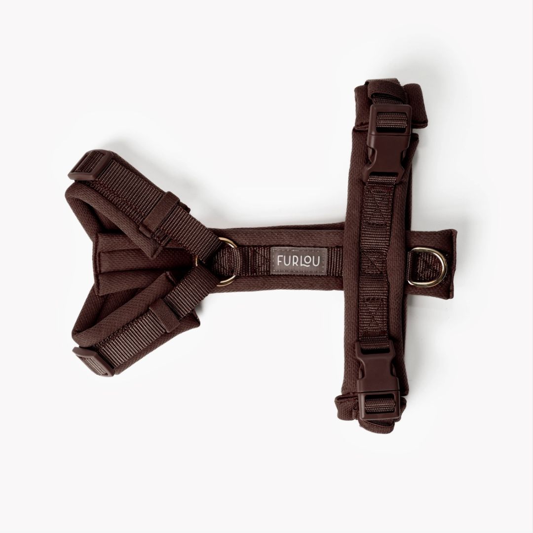 Harnais Comfort - Brown