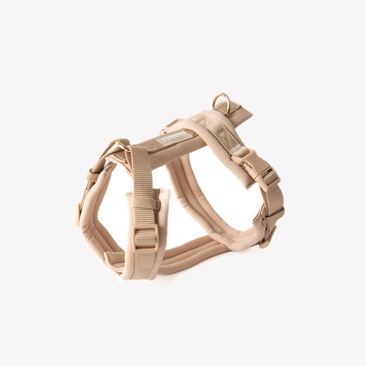 Harnais Comfort - Tan