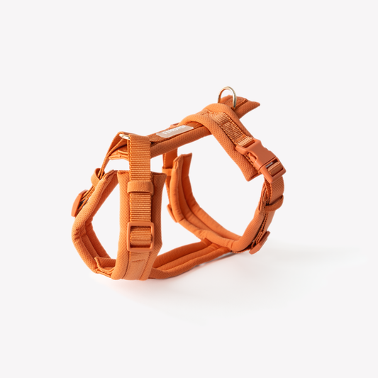 Harnais Comfort - Terracotta