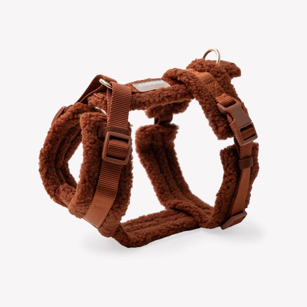 Harnais Sherpa - Clay